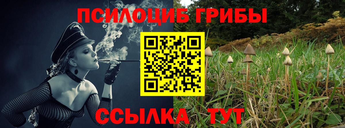 Псилоцибиновые грибы ЛСД Самара