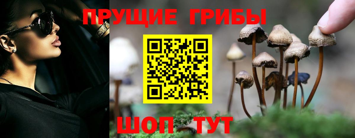 Самара  Галлюциногенные грибы Psilocybine cubensis  Вход с VPN 